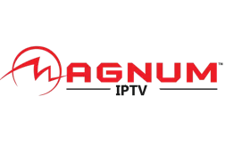 Serveur magnum ott